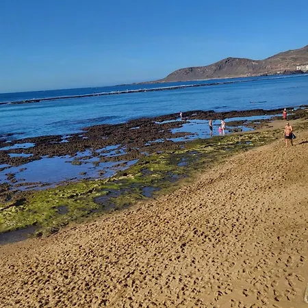 Apartment Seaweed By Canariasgetaway