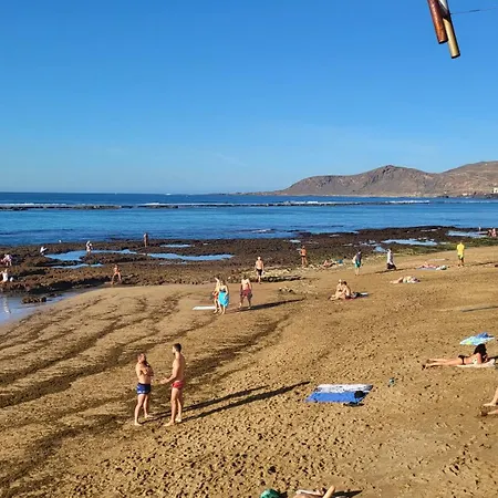 Seaweed By Canariasgetaway *